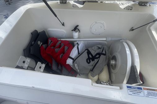 Sea Ray 230 SPX Outboard image