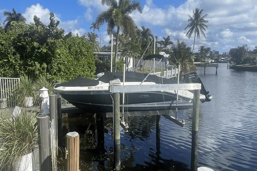 Sea Ray 230 SPX Outboard image