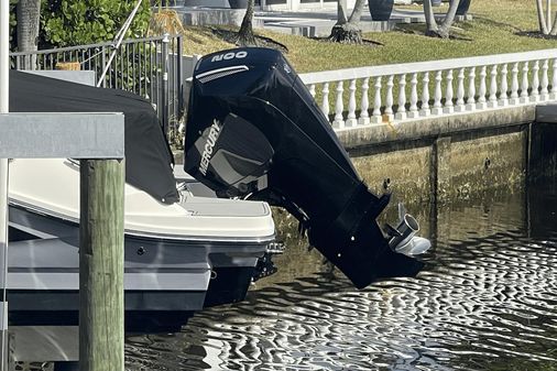 Sea Ray 230 SPX Outboard image