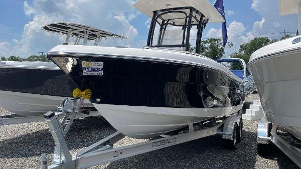 Robalo R222 Explorer 