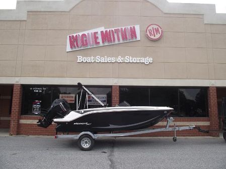 Bayliner ELEMENT-M17 image