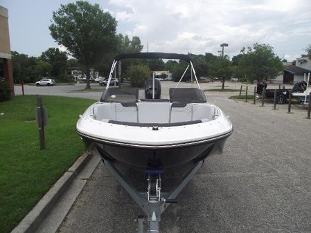 Bayliner ELEMENT-M17 image