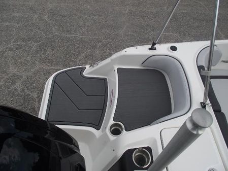 Bayliner ELEMENT-M17 image