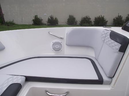 Bayliner ELEMENT-M17 image