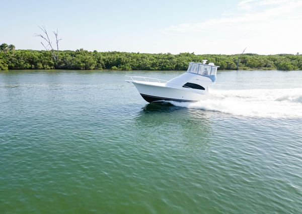 Luhrs 41 Convertible image