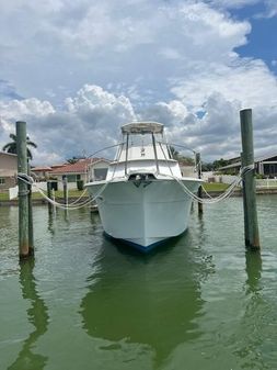 Hatteras 45 Convertible image