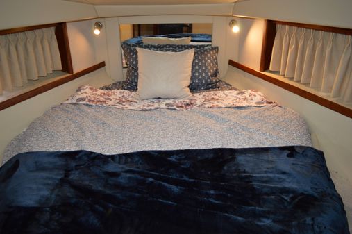 Sea Ray 38 Sundancer image