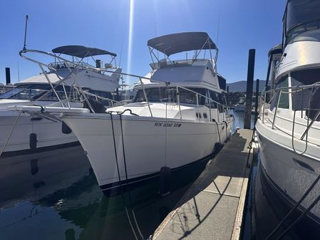 Bayliner 3288 Motoryacht image