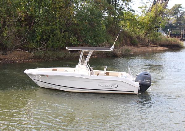 Robalo R200ES image