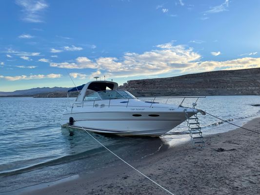 Sea Ray Sundancer - main image