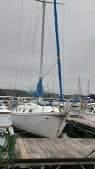 Gulfstar 37 image