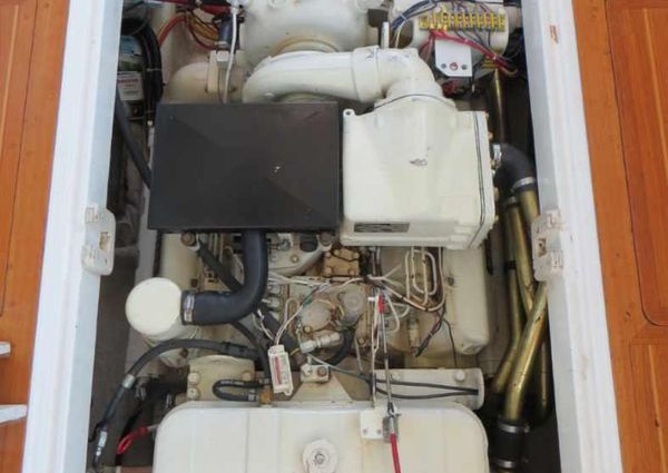 Wilbur 34 image