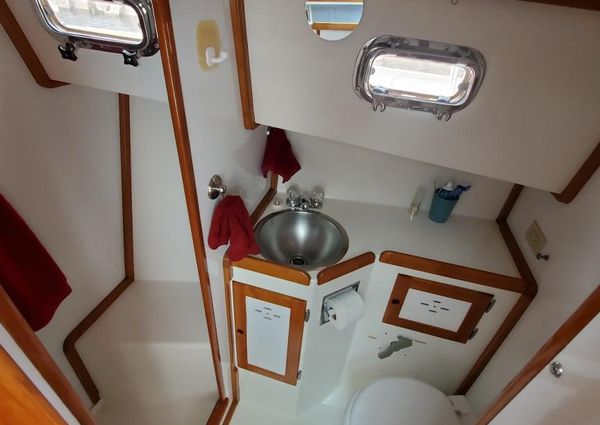 Wilbur 34 image