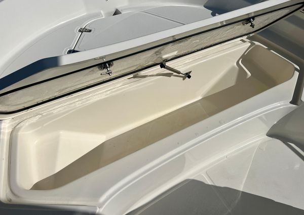 Boston-whaler 210-MONTAUK image