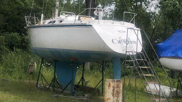 Hunter 31