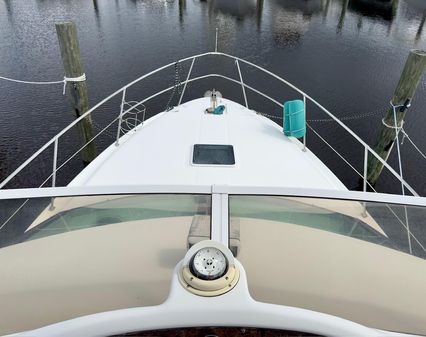 Sea Ray 370 image