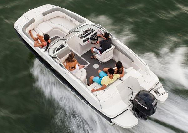 Bayliner 190-DECK-BOAT image