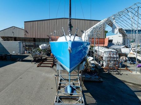 Offshore Racing Betts Boats Riptide 41 image