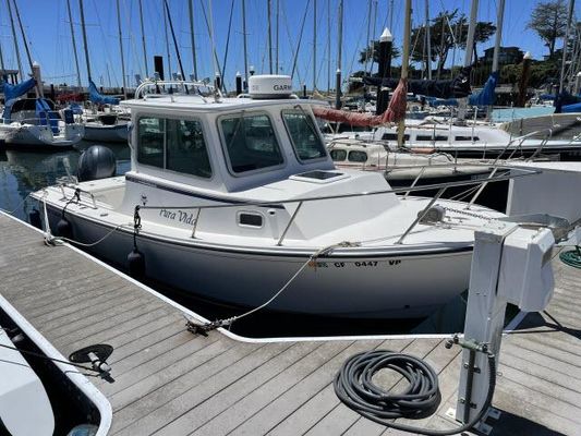 Steiger Craft 21 DV Chesapeake - main image