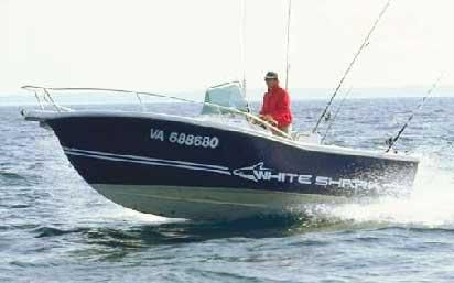 White Shark 205 