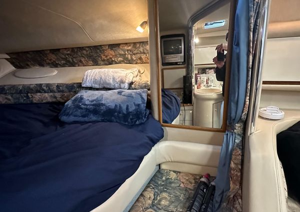 Sea Ray 330 Sundancer image