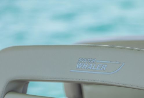 Boston-whaler 350-REALM image