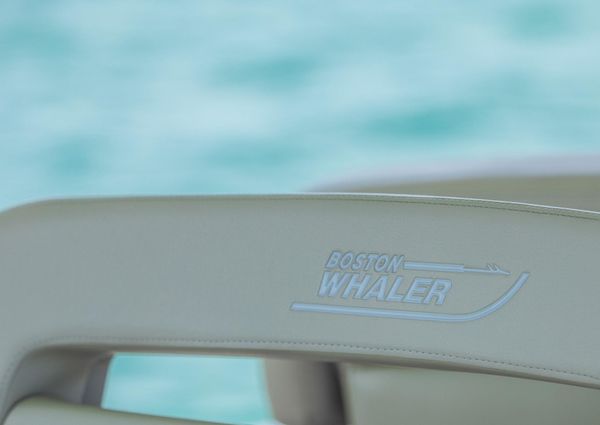 Boston-whaler 350-REALM image