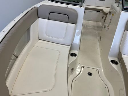 Sea-ray 240-SUNDECK image