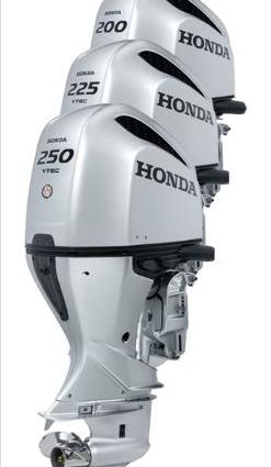 Honda BF250DXRA WT image