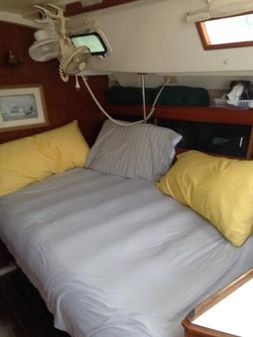 Hunter 31 image