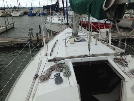 Hunter 31 image