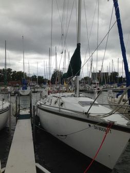 Hunter 31 image