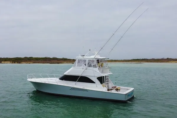 Viking 52-CONVERTIBLE image