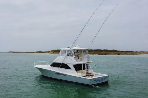 Viking 52 Convertible image