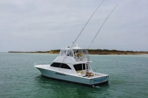 Viking 52-CONVERTIBLE image