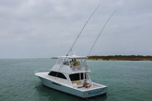 Viking 52 Convertible image