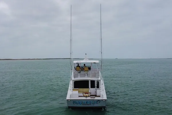 Viking 52-CONVERTIBLE image