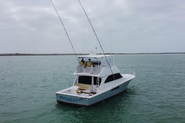 Viking 52-CONVERTIBLE image