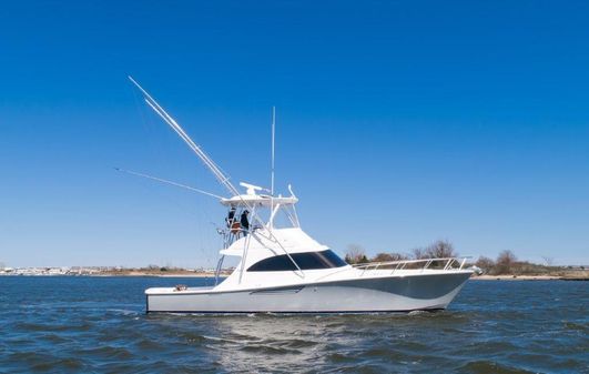 Viking 46 Billfish image