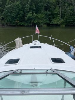 Sea Ray 290 Sundancer image