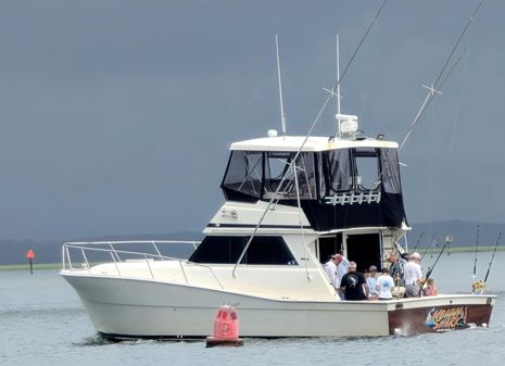 Viking 41 Convertible image