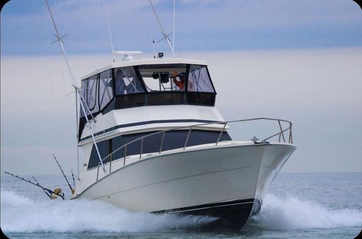 Viking 41 Convertible image