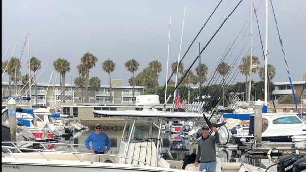 Mako 284 CC