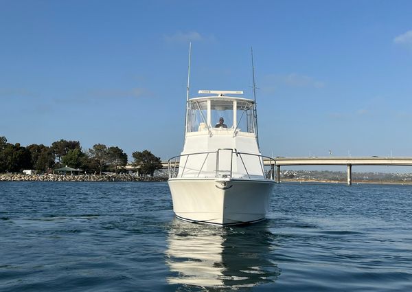 Cabo 35 Flybridge image