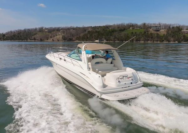 Sea Ray 410 Express Cruiser image