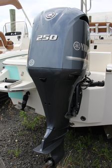Pioneer 220 Bay Sport image