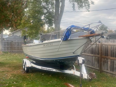 Chris-Craft Dory-Cutlass image