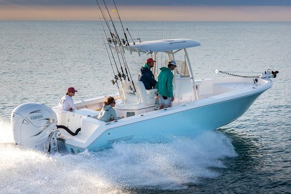 Pathfinder 2700 Open - main image