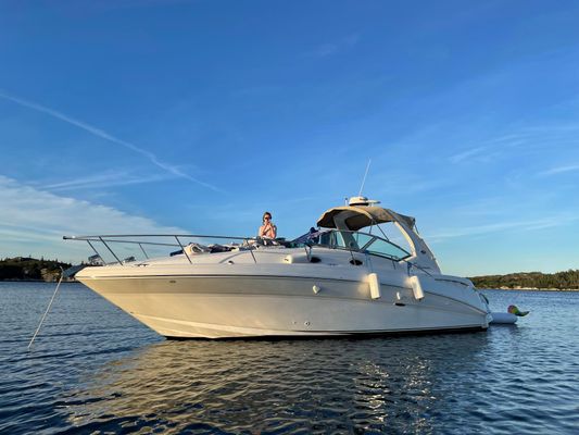 Sea Ray Sundancer 320 - main image