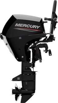 Mercury 20ELHPT EFI image
